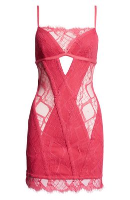 Dion Lee Snakeskin Print Lace Body-Con Corset Dress in Candy
