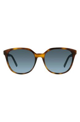 DIOR 30Montaignemini SI 58mm Round Sunglasses in Brown Havana/Blue