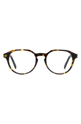 DIOR 53mm Round Optical Glasses in Brown Havana/Clear