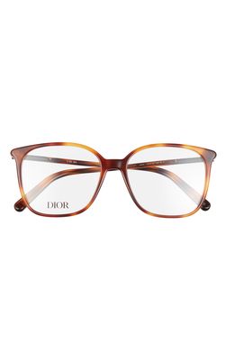 Dior 53mm Square Reading Glasses in Blonde Havana