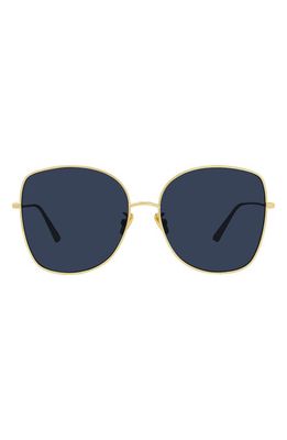 'DiorStellaire BU 59mm Butterfly Sunglasses in Shiny Gold Dh /Blue