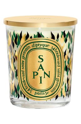 Diptyque Holiday Classic Candle in Le Sapin