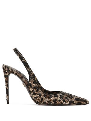 Dolce & Gabbana 105mm leopard-print leather pumps - Brown