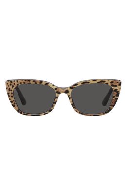 Dolce & Gabbana 49mm Small Cat Eye Sunglasses in Dark Grey