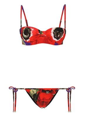 Dolce & Gabbana Anemone balconette bikini set - Red