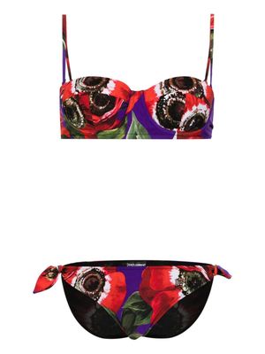 Dolce & Gabbana Anemone-print balconette bikini - Purple