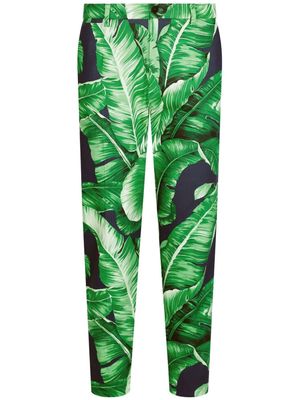 Dolce & Gabbana banana leaf-print trousers - Green