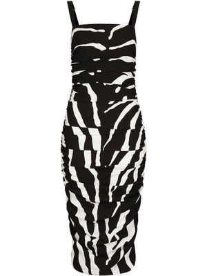 Dolce & Gabbana Cady zebra print midi dress - Black