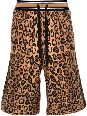 Dolce & Gabbana cheetah-print track shorts - Brown