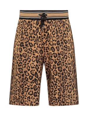 Dolce & Gabbana Cheetah-printed Drawstring Track Shorts