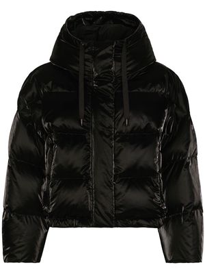Dolce & Gabbana coated down jacket - Black