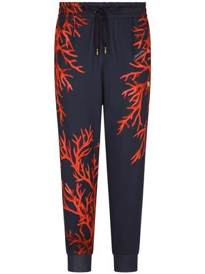 Dolce & Gabbana coral-print cotton track pants - Blue