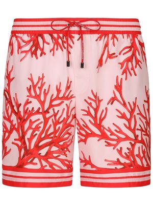Dolce & Gabbana coral-print swim shorts - Pink