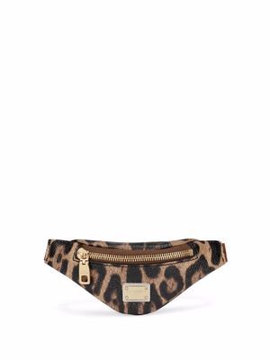 Dolce & Gabbana Crespo leopard-print toiletry bag - Brown