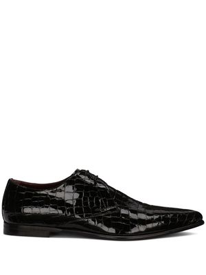 Dolce & Gabbana crocodile-embossed Derby shoes - Black