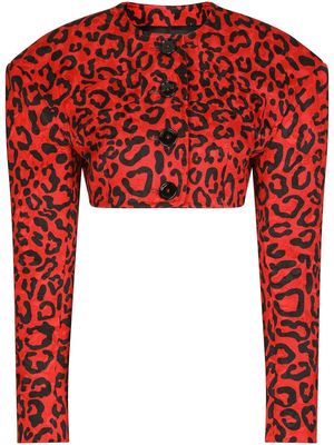 Dolce & Gabbana cropped leopard-print blazer - Red
