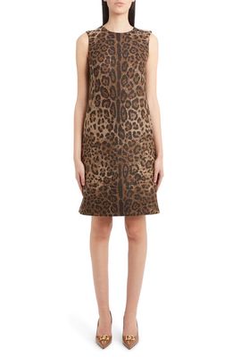 Dolce & Gabbana Dégradé Leopard Print Wool Blend Shift Dress in Print Leo