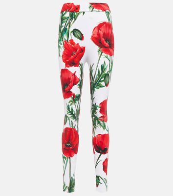 Dolce & Gabbana Floral high-rise leggings