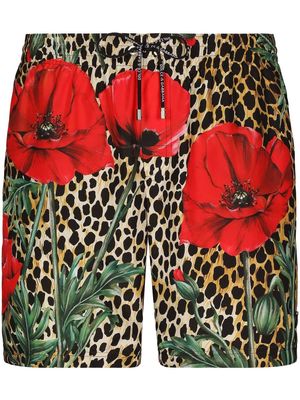 Dolce & Gabbana floral leopard-print swim shorts - Neutrals