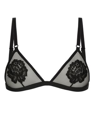 Dolce & Gabbana floral-motif triangle bra - Black