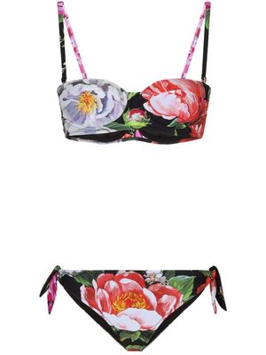Dolce & Gabbana floral-print balconette bikini - Black