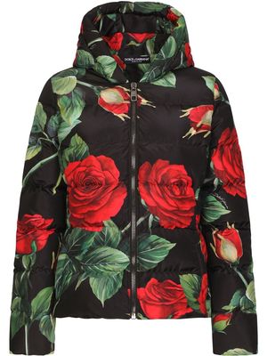 Dolce & Gabbana floral-print short down jacket - Black