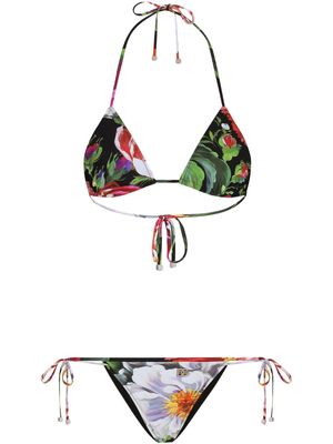 Dolce & Gabbana floral-print triangle bikini - Black