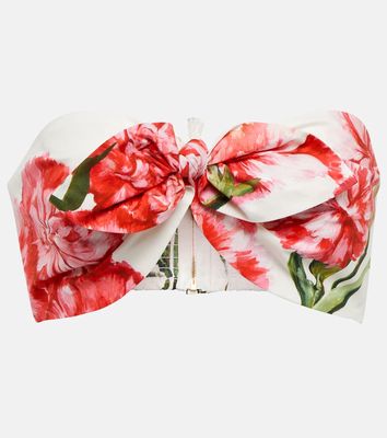Dolce & Gabbana Floral-printed cotton bandeau top