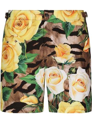 Dolce & Gabbana floral tiger-print swim shorts - Multicolour
