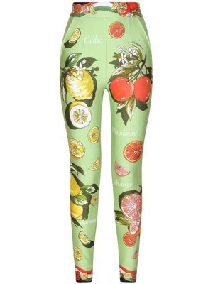 Dolce & Gabbana fruit-print leggings - Green