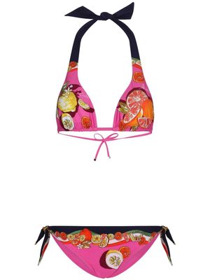 Dolce & Gabbana fruit-print triangle bikini - Pink