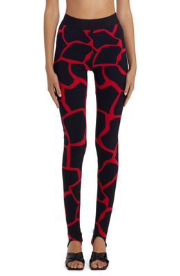 Dolce & Gabbana Giraffe Print Stirrup Leggings in Black Print