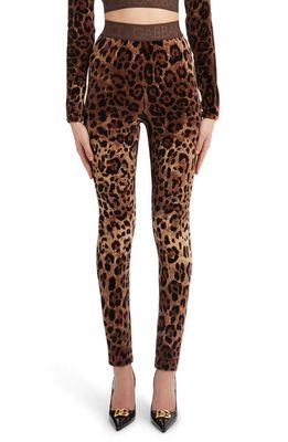 Dolce & Gabbana High Waist Leopard Print Cotton Blend Leggings in Print Leo