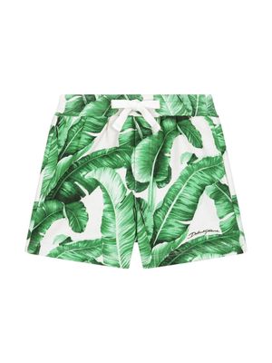 Dolce & Gabbana Kids leaf-print cotton shorts - Green