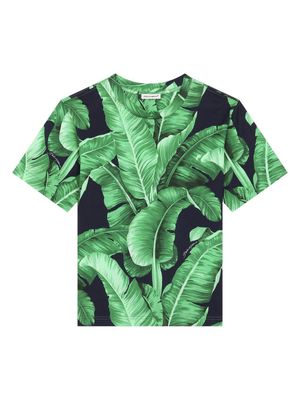Dolce & Gabbana Kids leaf-print cotton T-shirt - Black