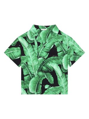 Dolce & Gabbana Kids leaf-print shirt - Black