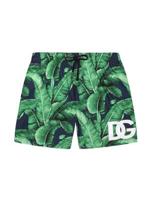 Dolce & Gabbana Kids leaf-print swim shorts - Green
