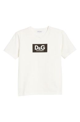 Dolce & Gabbana Kids' Logo Graphic T-Shirt in Ha3Ap Color Block