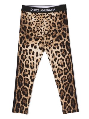 Dolce & Gabbana Kids logo-waistband leopard-print leggings - Black