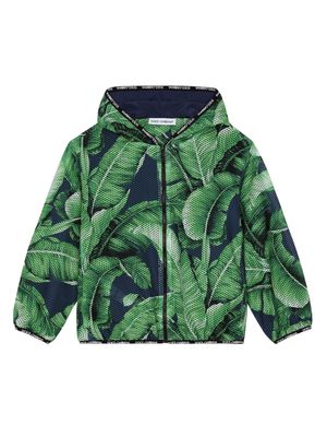 Dolce & Gabbana Kids palm-print mesh hooded jacket - Green