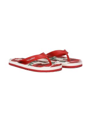 Dolce & Gabbana Kids poppy-print flip flops - Red