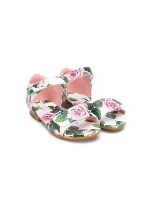 Dolce & Gabbana Kids roses print touch strap sandals - White