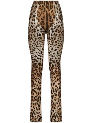 Dolce & Gabbana KIM DOLCE&GABBANA leopard-print flared trousers - Neutrals