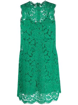 Dolce & Gabbana lace sleeveless shift minidress - Green