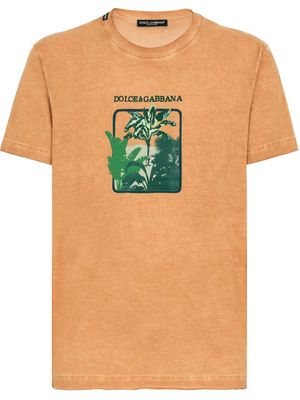 Dolce & Gabbana leaf-print cotton T-shirt - Orange