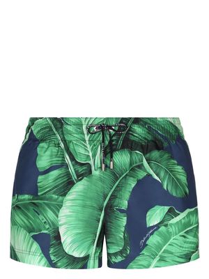Dolce & Gabbana leaf-print swim shorts - Blue