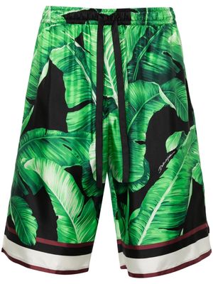 Dolce & Gabbana leaves-print silk shorts - Green