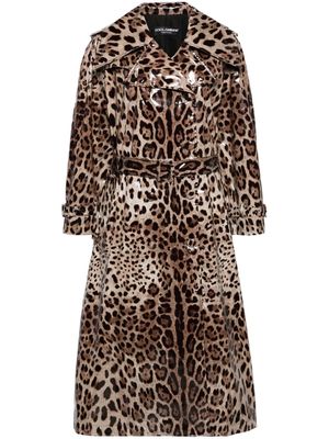 Dolce & Gabbana leopard-print belted trench coat - Neutrals