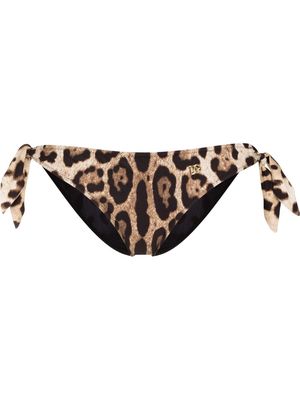 Dolce & Gabbana leopard-print bikini bottoms - Neutrals