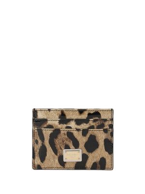 Dolce & Gabbana leopard-print card holder - Brown